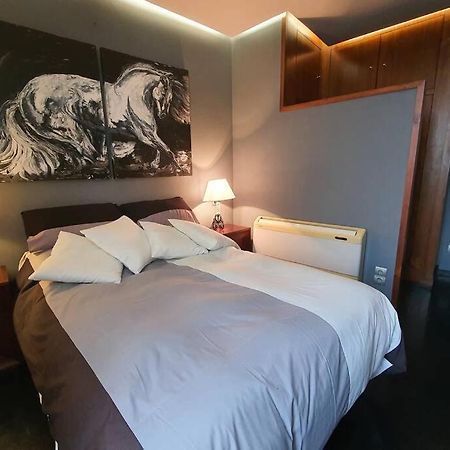 Atico Singular En El Centro Historico. Apartment Jaen Ngoại thất bức ảnh